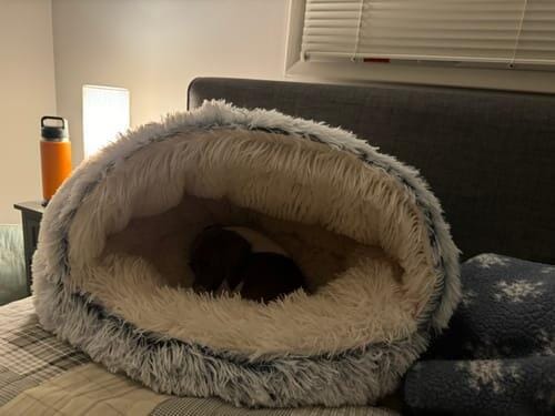Customer photo review of Snuggle Haven Deluxe Pet Bed