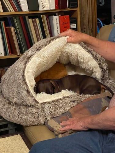 Customer photo review of Snuggle Haven Deluxe Pet Bed