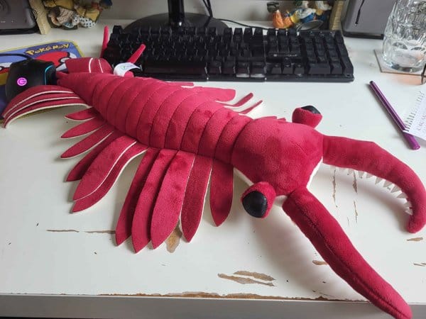 Customer photo review of Anomalocaris Arthropod Soft Stuffed Plush Toy