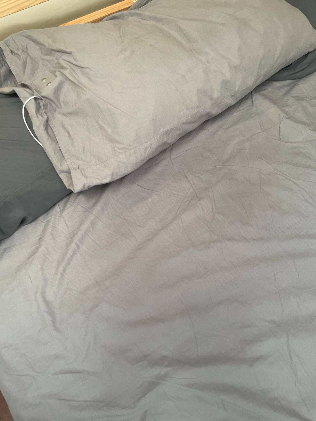 Customer photo review of Terra Grounding Pillow Case