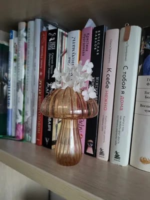 Customer photo review of MYCÉLIUM®