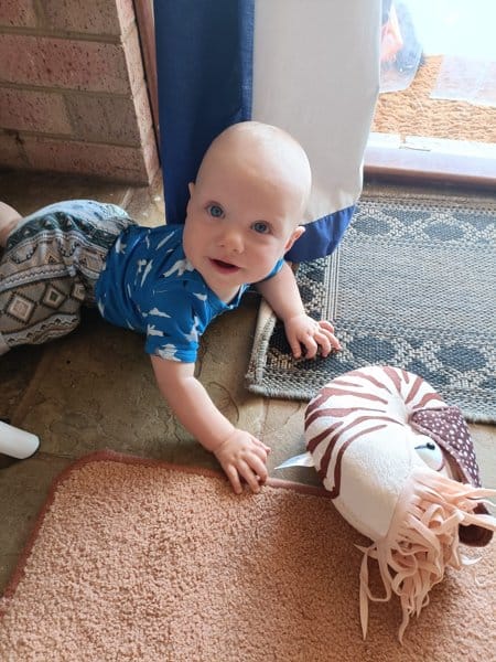 Customer photo review of Lifelike Nautilus Soft Stuffed Plush Toy