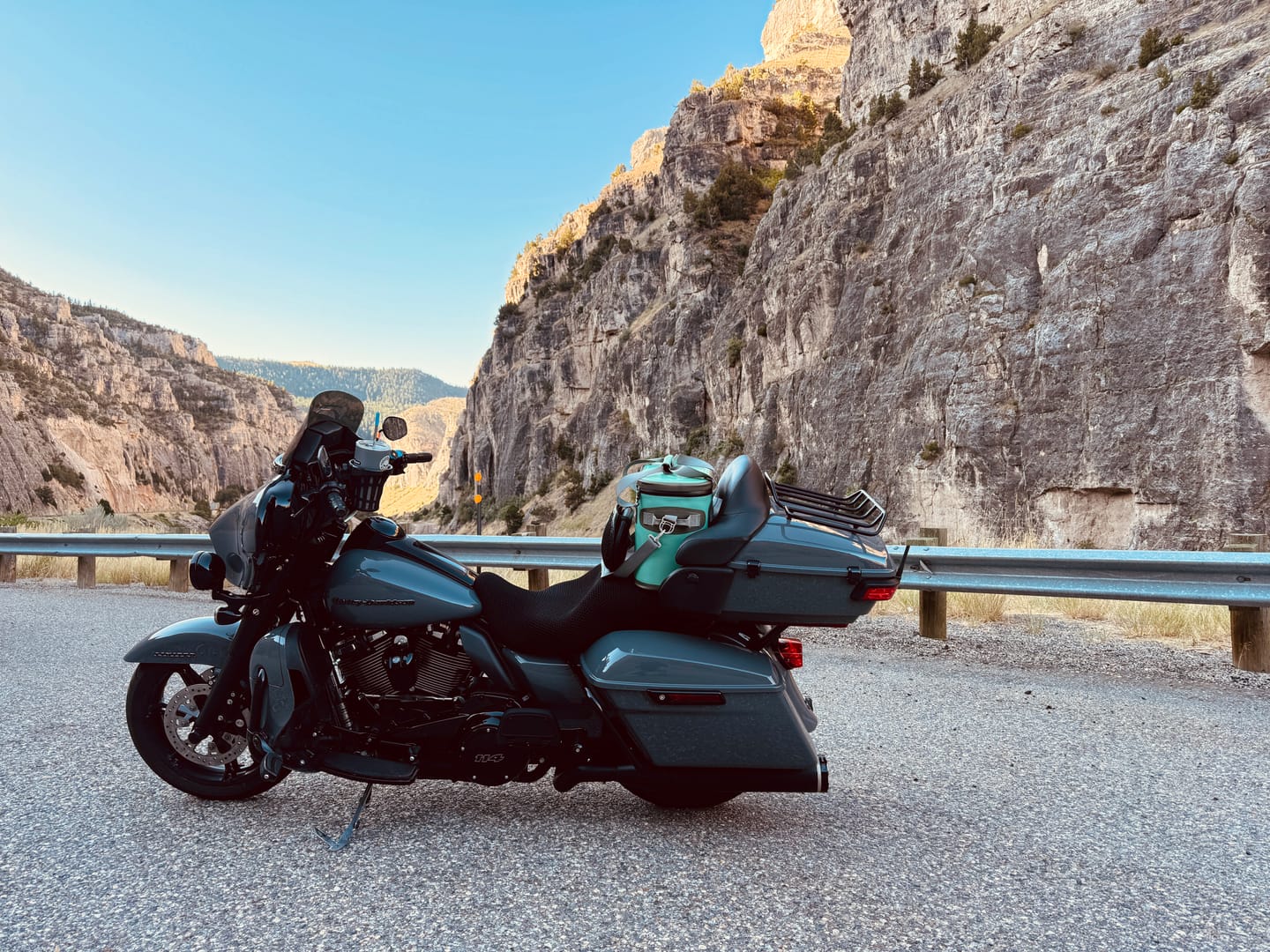 Customer photo review of Backrest Cover