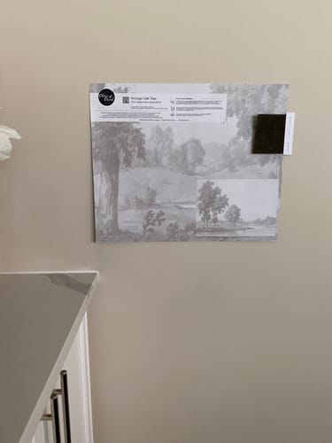 Customer photo review of Vintage Oak Tree Wallpaper Mural