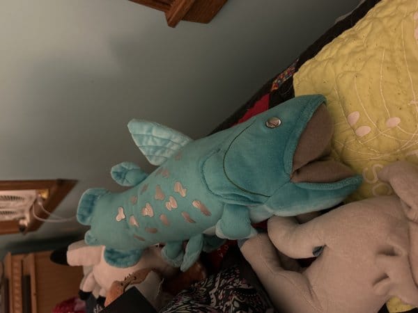 Customer photo review of Coelacanth Fish Soft Stuffed Plush Toy