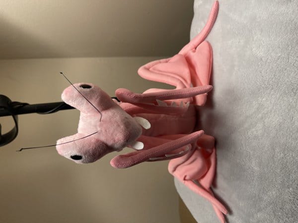 Customer photo review of Pink Orchid Mantis Soft Stuffed Plush Toy