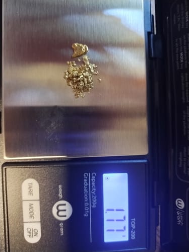Customer photo review of 10 Lb. NUGGET RESERVE™ Gold Paydirt Unsearched BOGO