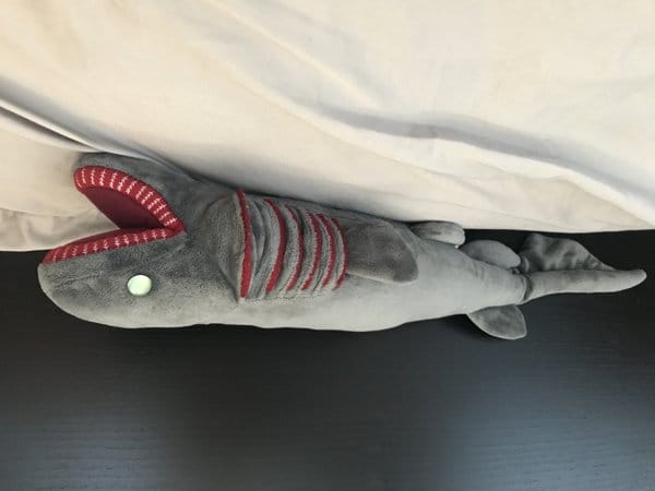 Customer photo review of Frilled Shark Soft Stuffed Plush Toy