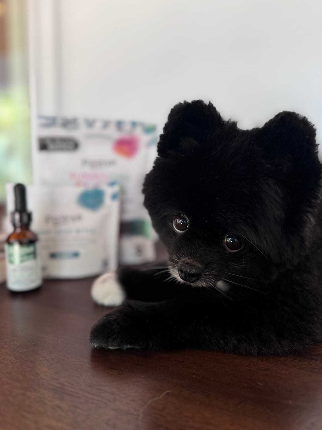 Customer photo review of Daily Support CBD Oil for Pets Under 20lbs