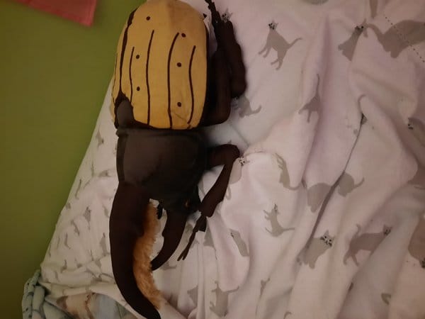 Customer photo review of Hercules Beetle Soft Stuffed Plush Toy