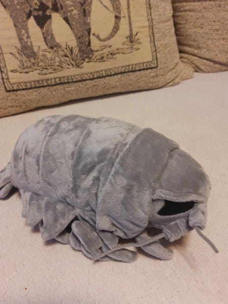 Customer photo review of Lifelike Giant Isopod Soft Stuffed Plush Toy