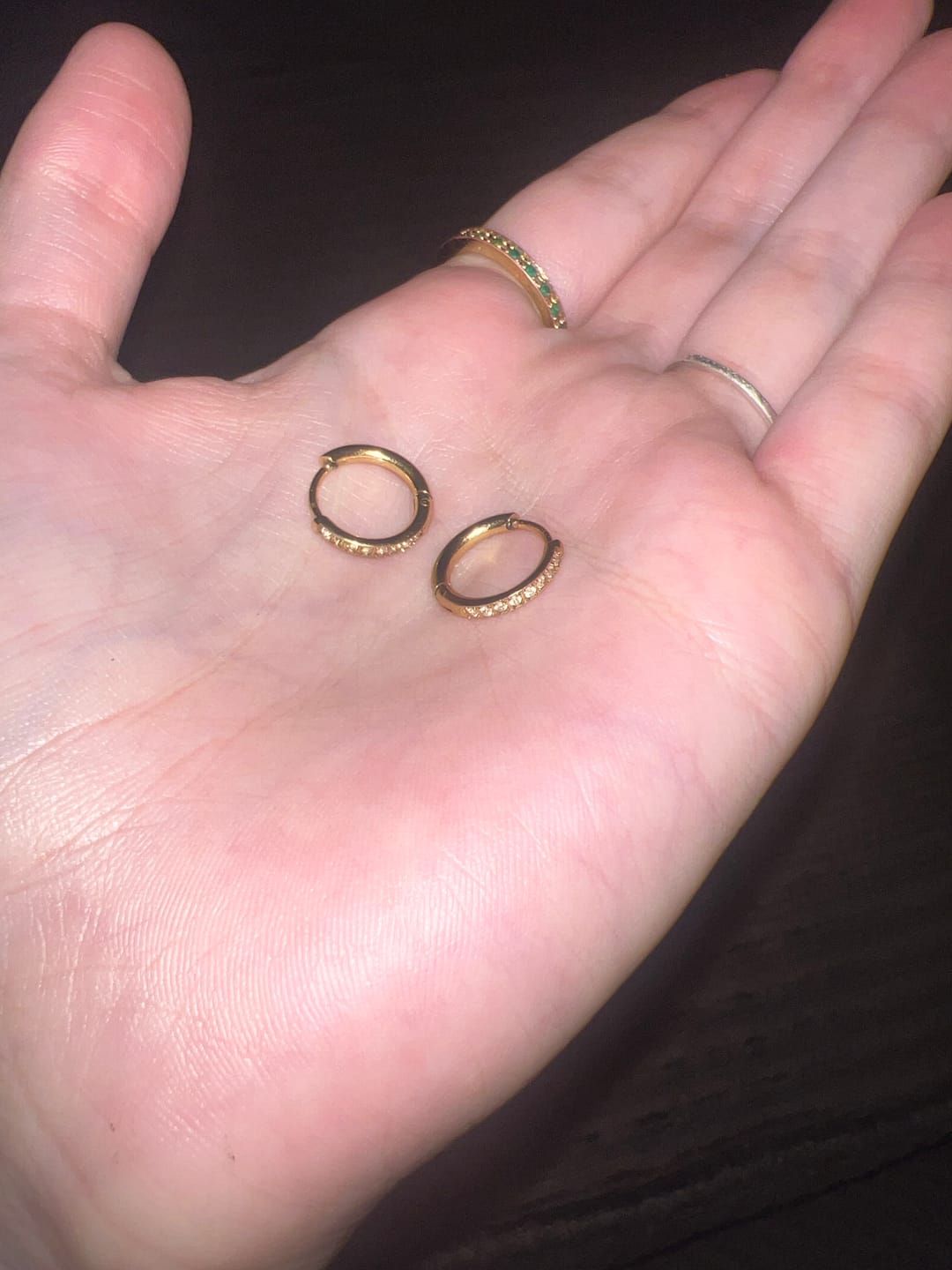 Customer photo review of Eternity Hoop Earrings