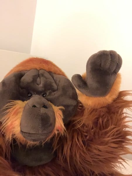 Customer photo review of Orangutan Ape Soft Stuffed Plush Toy