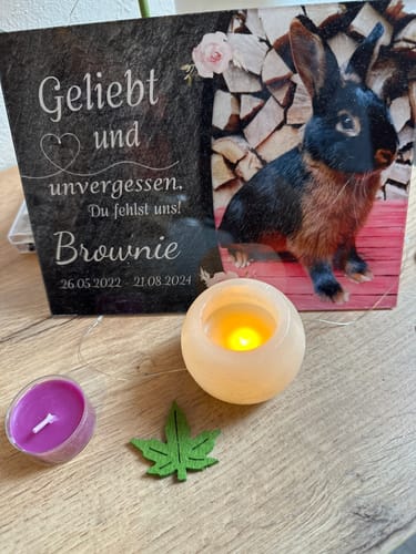 Customer photo review of Katzen Gedenktafel mit Foto & Spruch (UV- & Wetterfest)