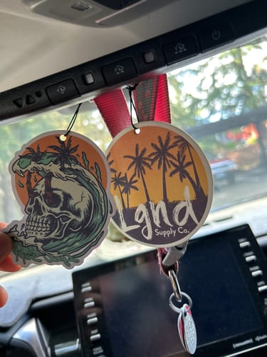 Customer photo review of Air Fresheners