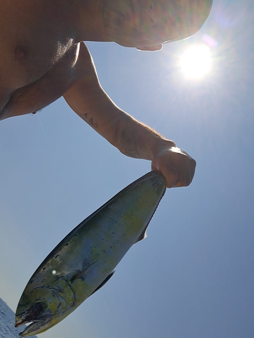 Customer photo review of Bonito Stick