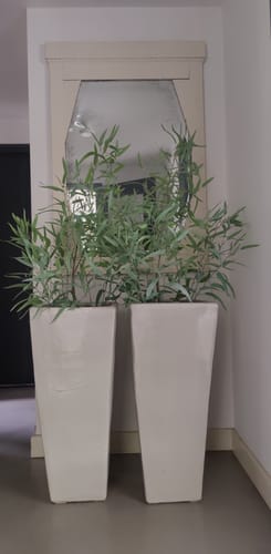 Customer photo review of Eucalyptus Kunstplant 175cm