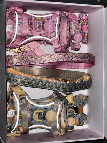 Customer photo review of Disney© Tough Trails™ Harness - Lion Friends