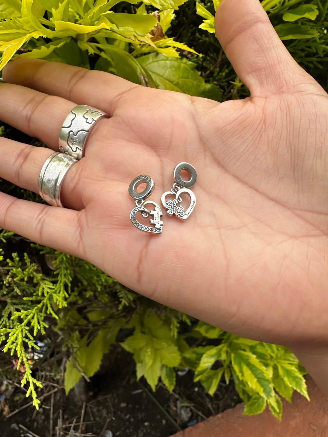 Customer photo review of Charm Corazon de Mejores Amigos