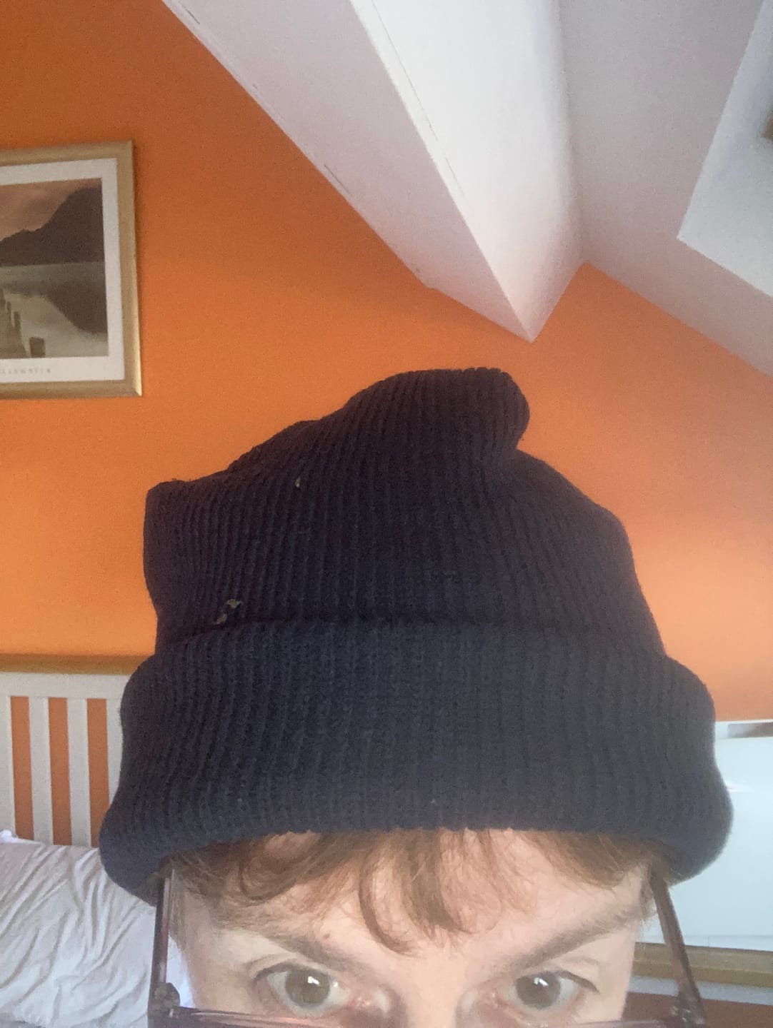 Customer photo review of Plain Recycled Cotton Mix Knit Fabric