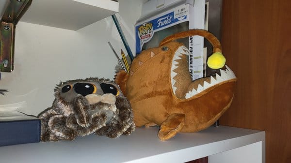 Customer photo review of Anglerfish Soft Stuffed Plush Toy
