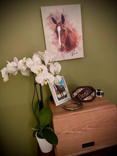 Customer photo review of Personalized Horse portrait