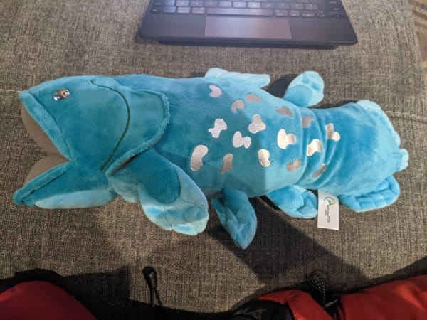 Customer photo review of Coelacanth Fish Soft Stuffed Plush Toy