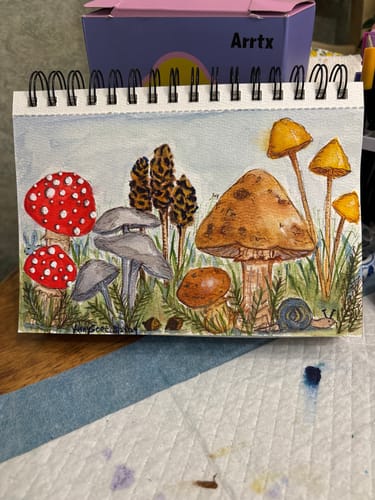 Customer photo review of Stabillo 88--Brown