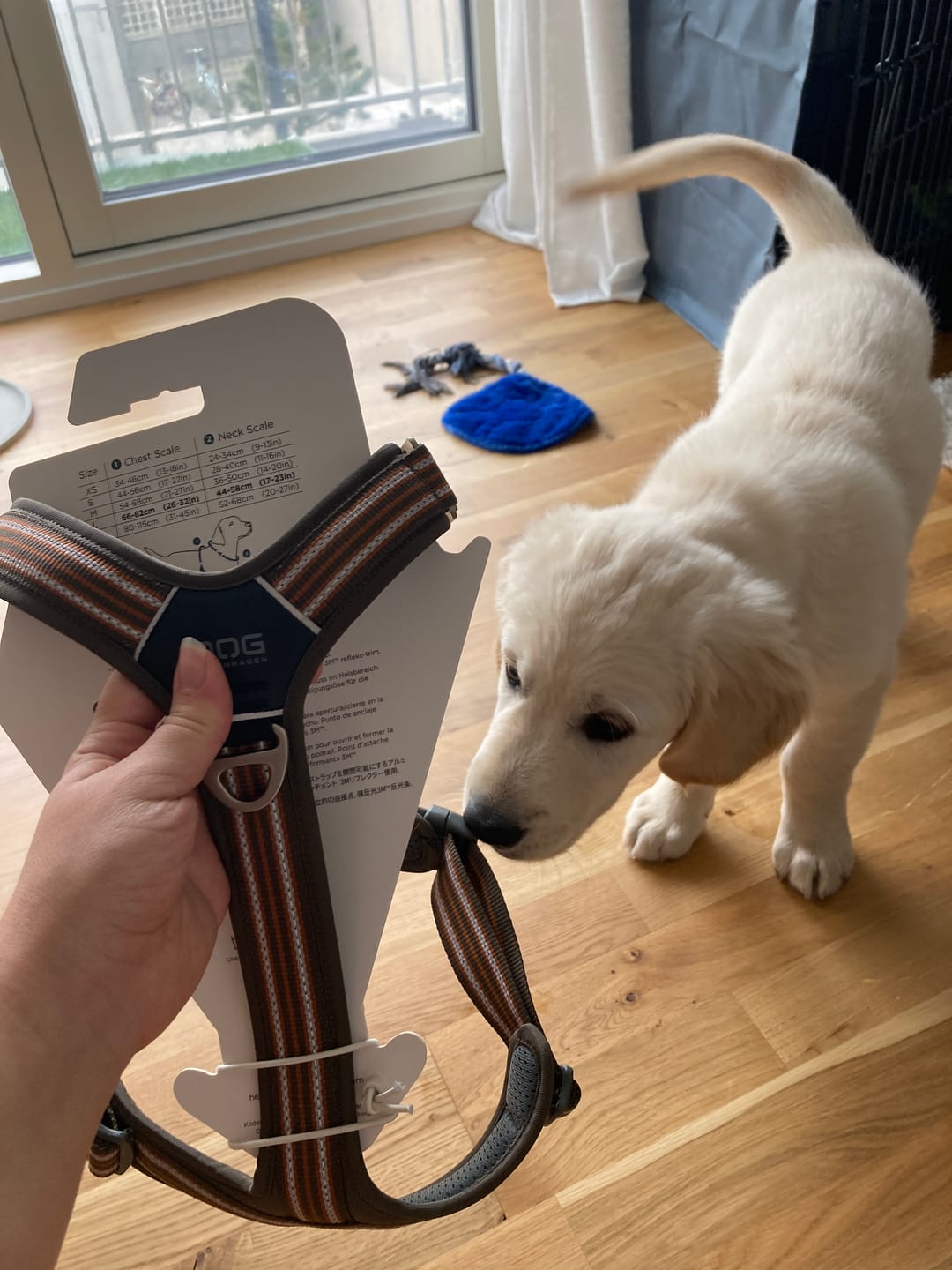 Customer photo review of Dog Copenhagen Walk Air™ hundesele Mocca