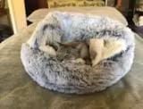 Customer photo review of Snuggle Haven Deluxe Pet Bed