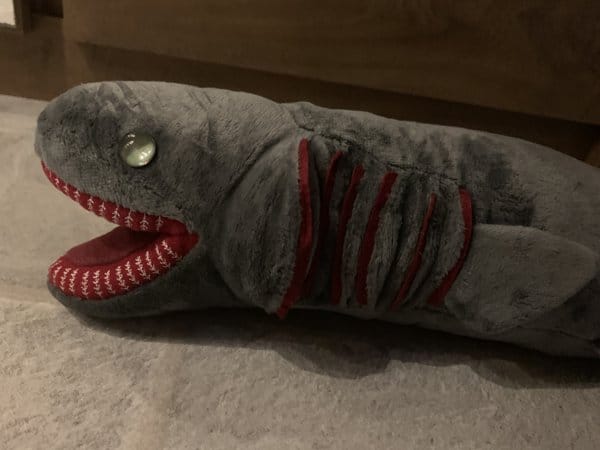 Customer photo review of Frilled Shark Soft Stuffed Plush Toy