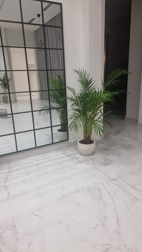 Customer photo review of Freya XL Black Rectangular Window Mirror (210x120 CM)