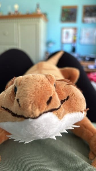 Customer photo review of Bearded Dragon Lizard Soft Stuffed Plush Toy