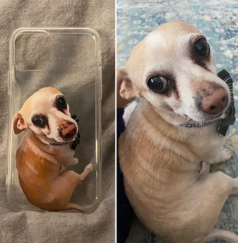Customer photo review of Custom Pet Phone Case