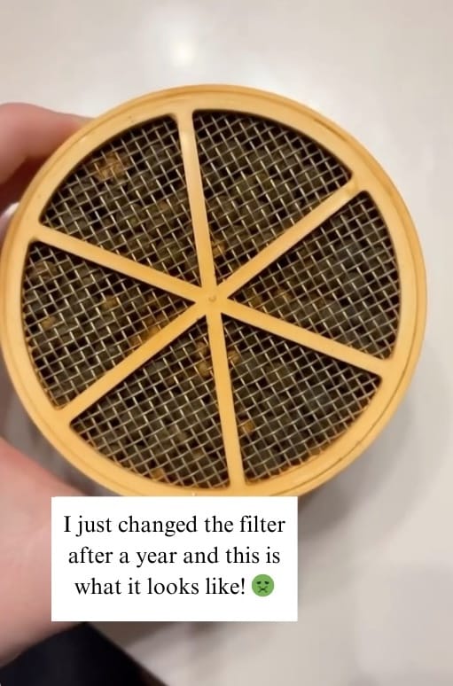 Customer photo review of Skincare Bath Filter by Kinder Filter