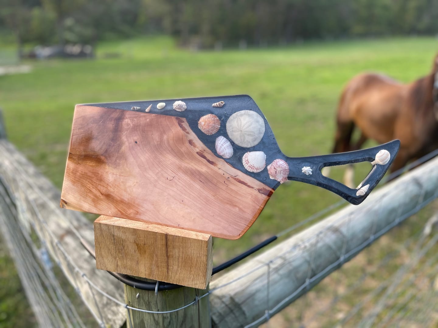 Customer photo review of 22x9.7x1" Aviator Charcuterie Board Silicone Mold - Serving Board Mold