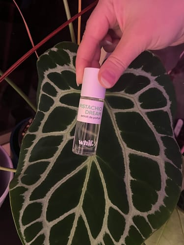 Customer photo review of Pistachio Dream