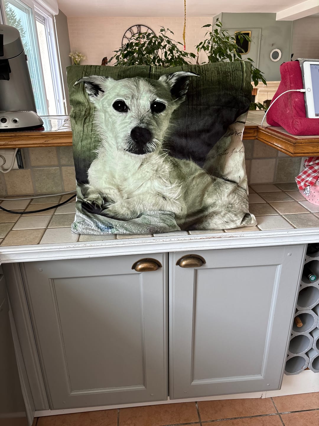 Customer photo review of Avec photo - Coussin personnalisé