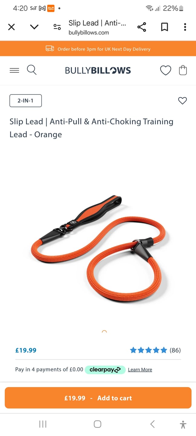 Customer photo review of Slip Lead | Anti-Pull & Anti-Choking Training Lead - Orange