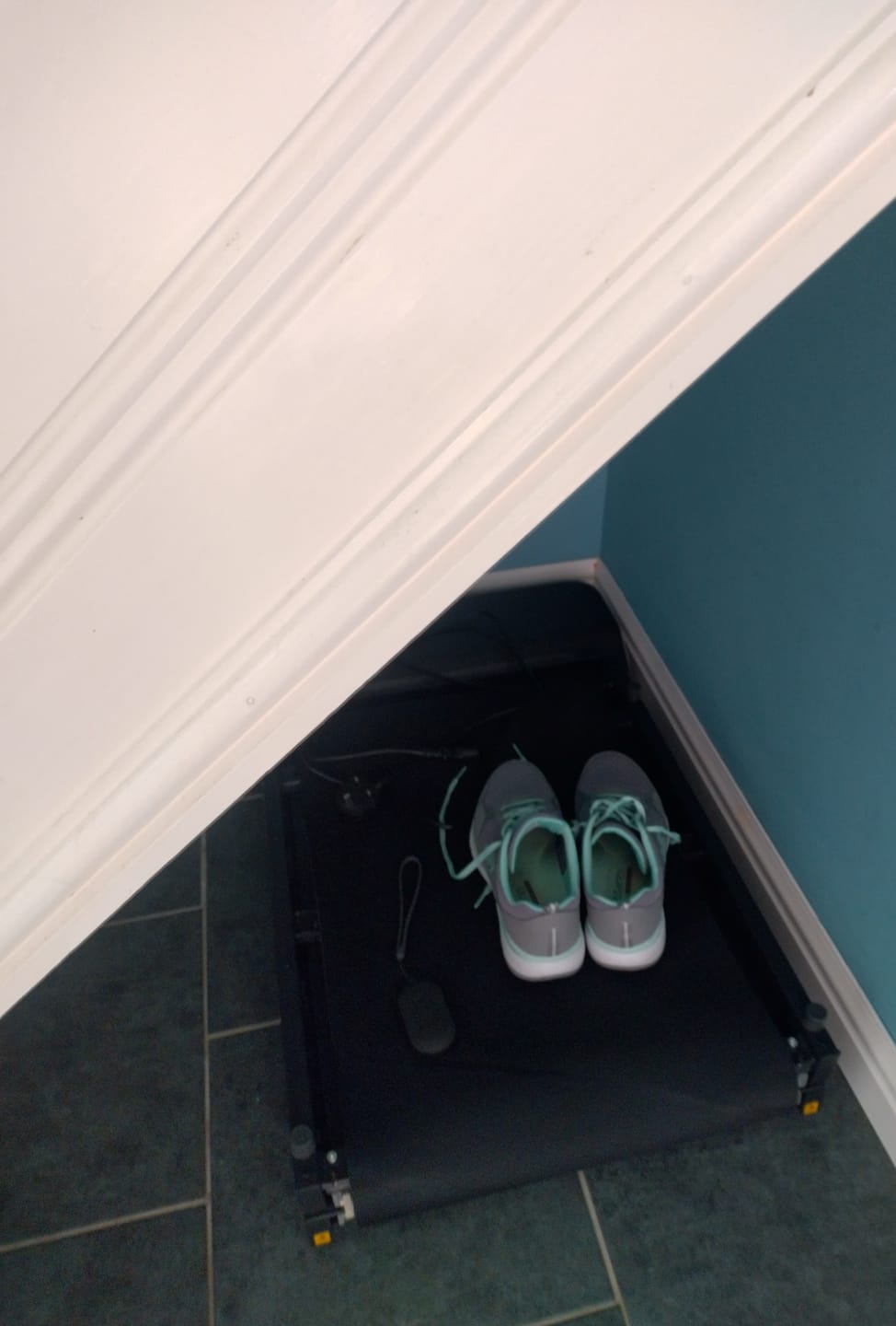 Customer photo review of WalkingPad Z1 Lightest Foldable Walking Treadmill 3.72MPH 242 lbs