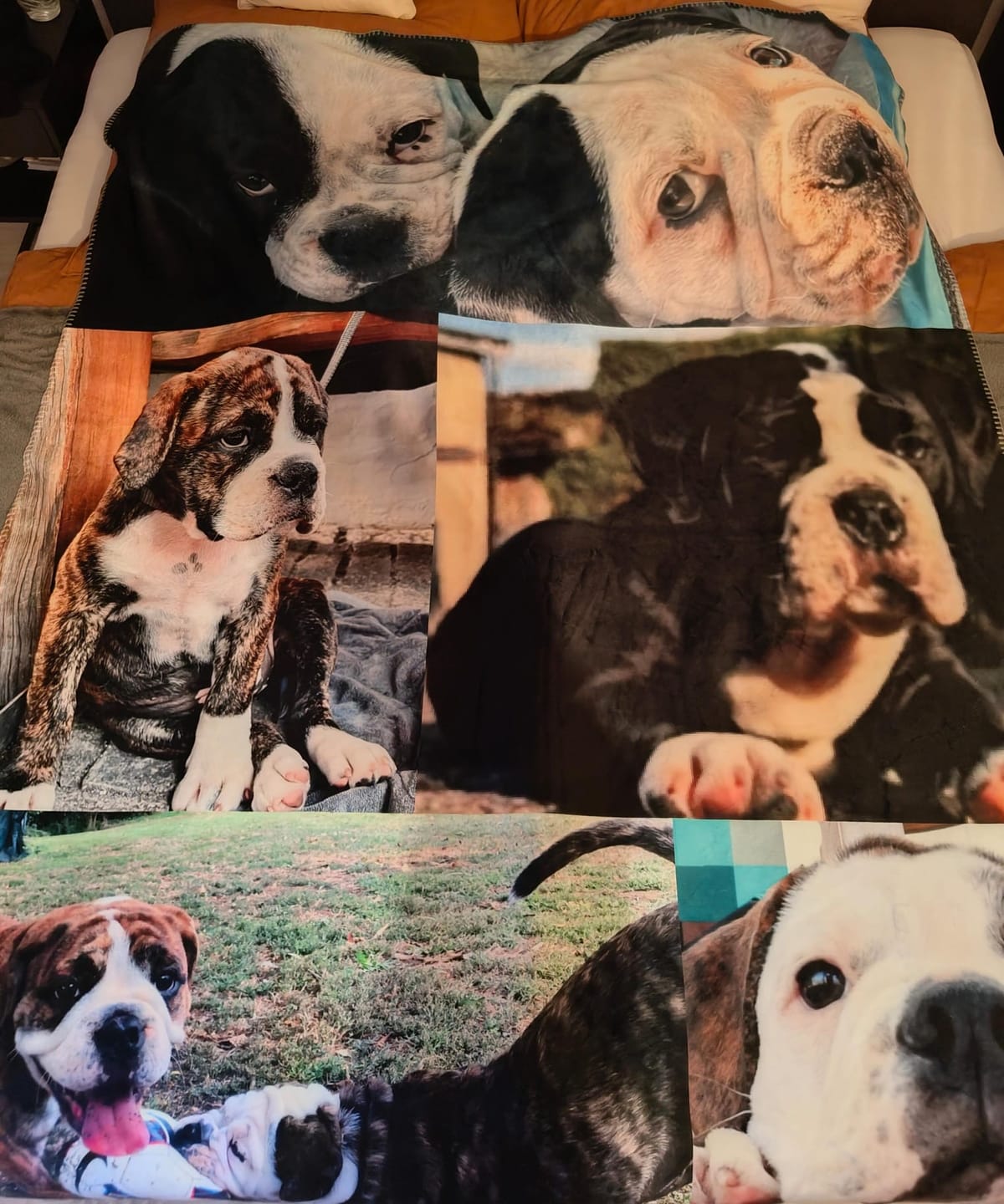 Customer photo review of Eigenes Foto - Individuelle Decke