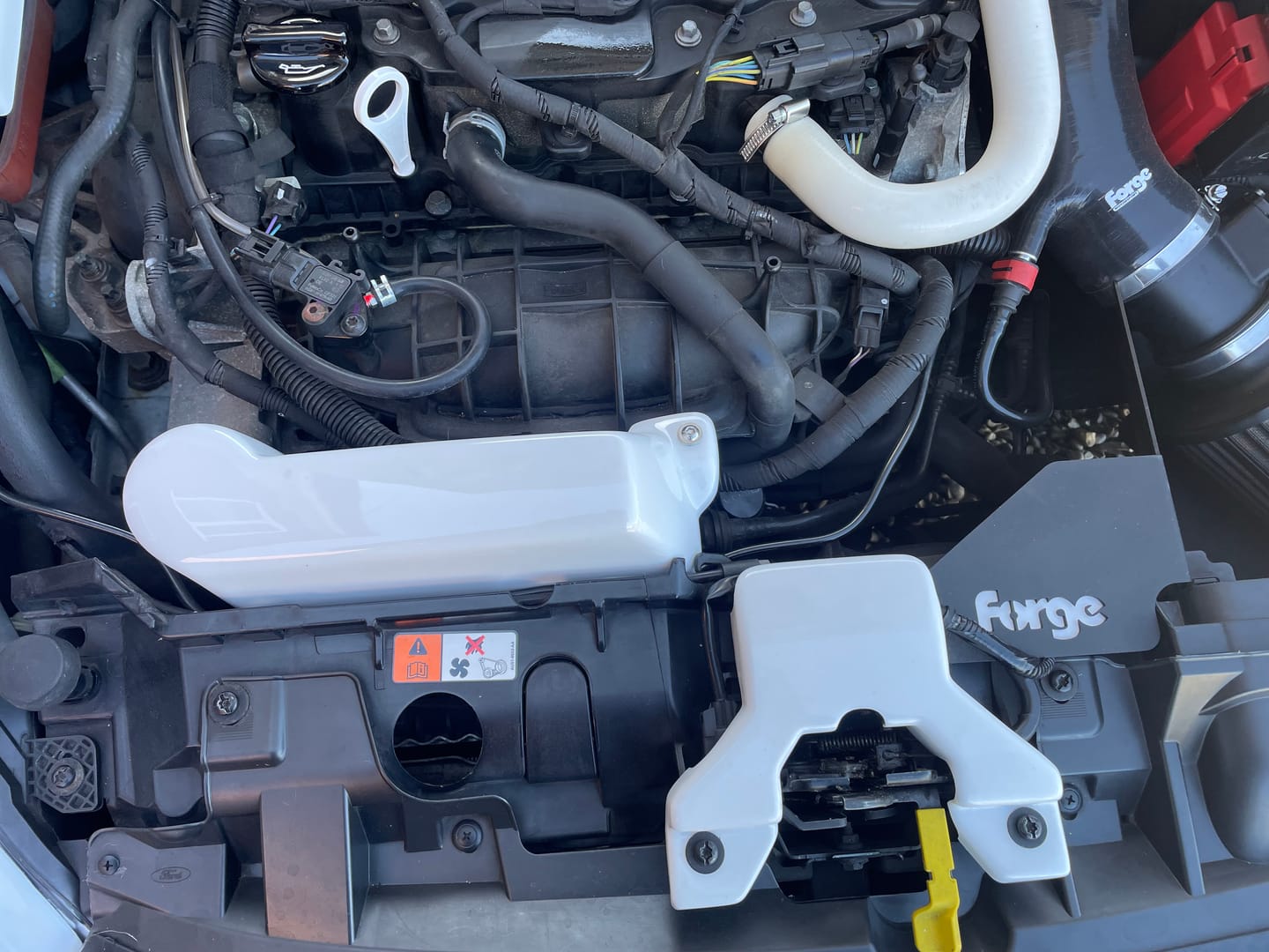 Customer photo review of Proform Bonnet Catch Plate Cover - MK7.5 Fiesta (Plastic Finishes)