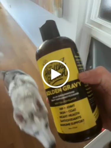 Customer video review of Golden Gravy