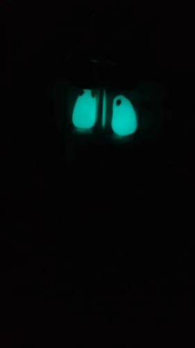 Customer photo review of Ghost in the Bottle Glow in the Dark Earrings