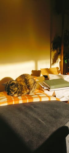 Customer photo review of 2025 Daily Diary