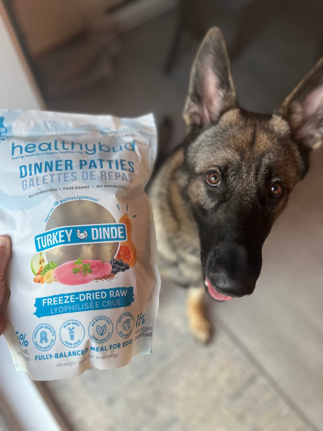 Customer photo review of Turkey Meal Patties