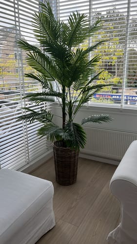 Customer photo review of Kunstpalm 180cm