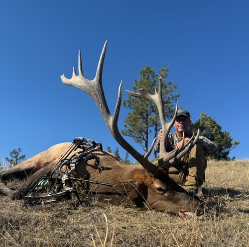 Customer photo review of Beast Broadheads (2-Pack + Practice Tip)