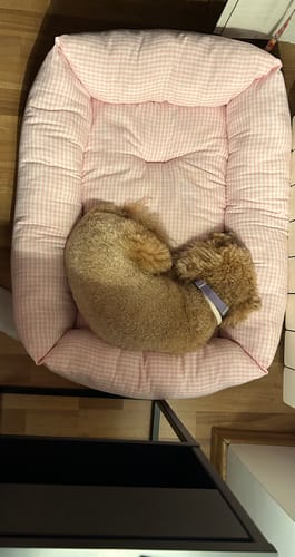 Customer photo review of Divanetto Vichy Rosa