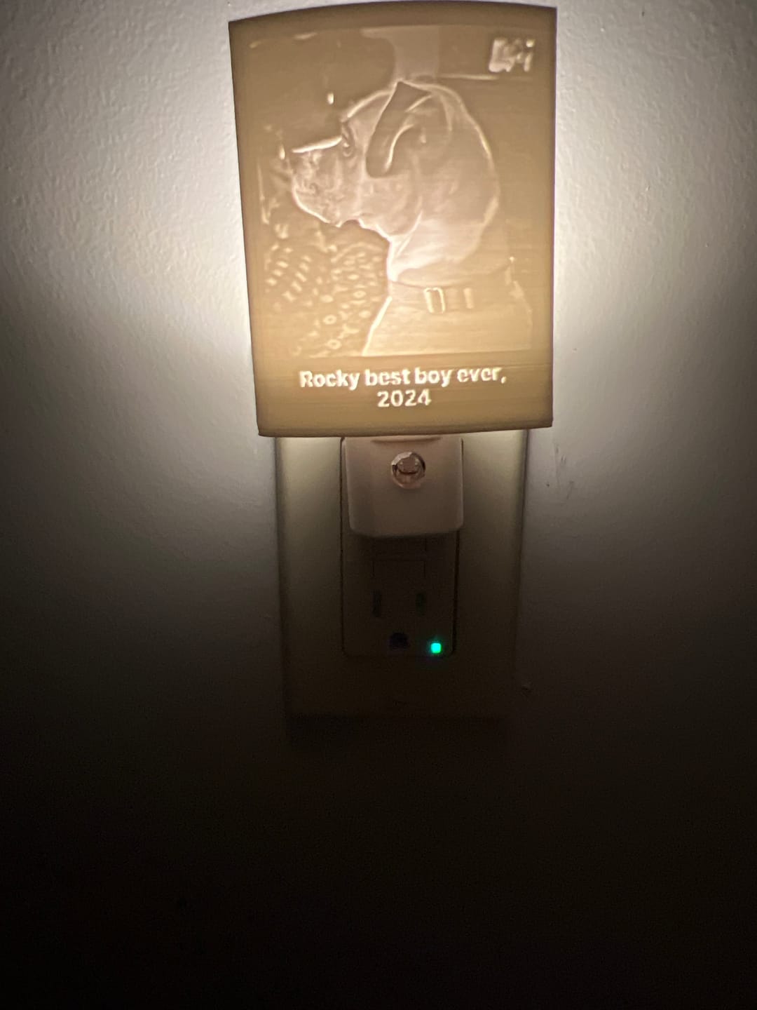 Customer photo review of Memory Frame™ Personalized Night Light